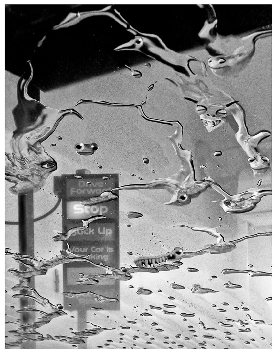 Imagined creatures appear in the water patterns at the car wash.
