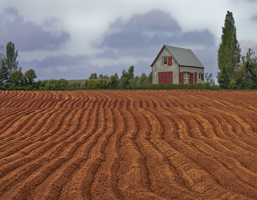 This farm with it's recently furrowed fields sits on the edge of Georgetown.