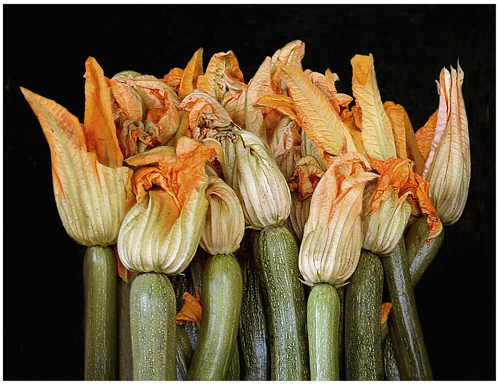 Zucchini blossoms will be filled with cheese and sauteed for lunch.
