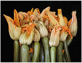 Zucchini blossoms will be filled with cheese and sauteed for lunch.