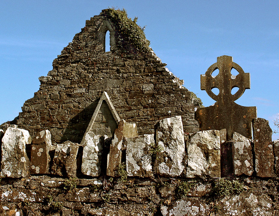 Ruins like these in County Carlow tell us of Ireland's early religious history.