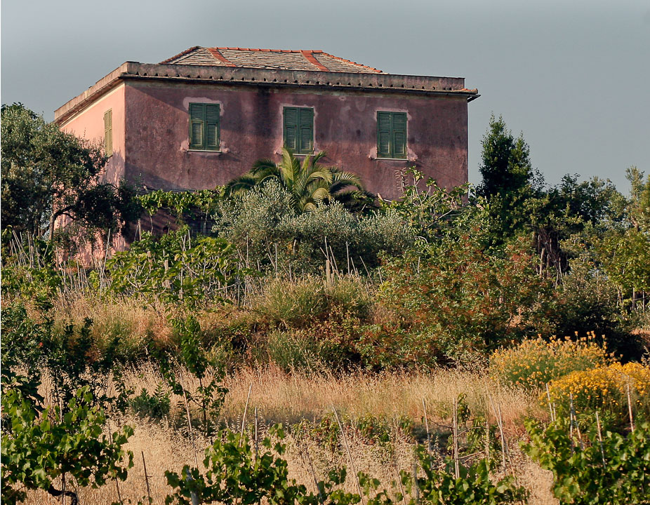 A rustic country home seen as we head out into the Tuscan country side.