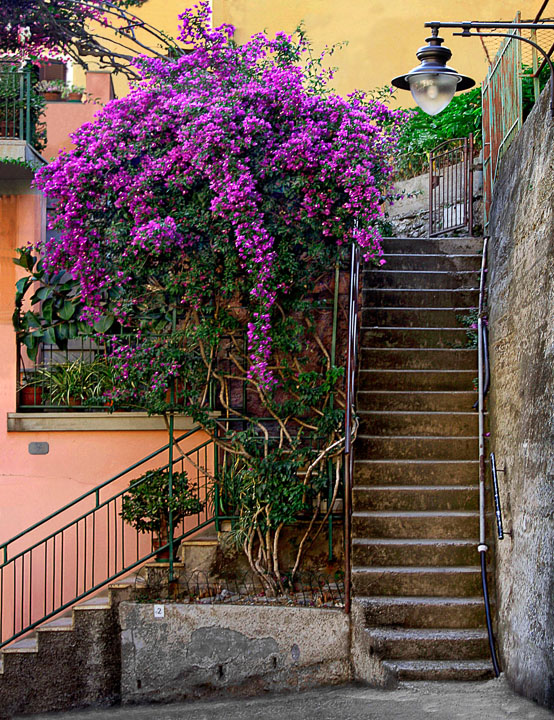 There are many steps to  climb as you visit the seaside villages of Cinque Terre.