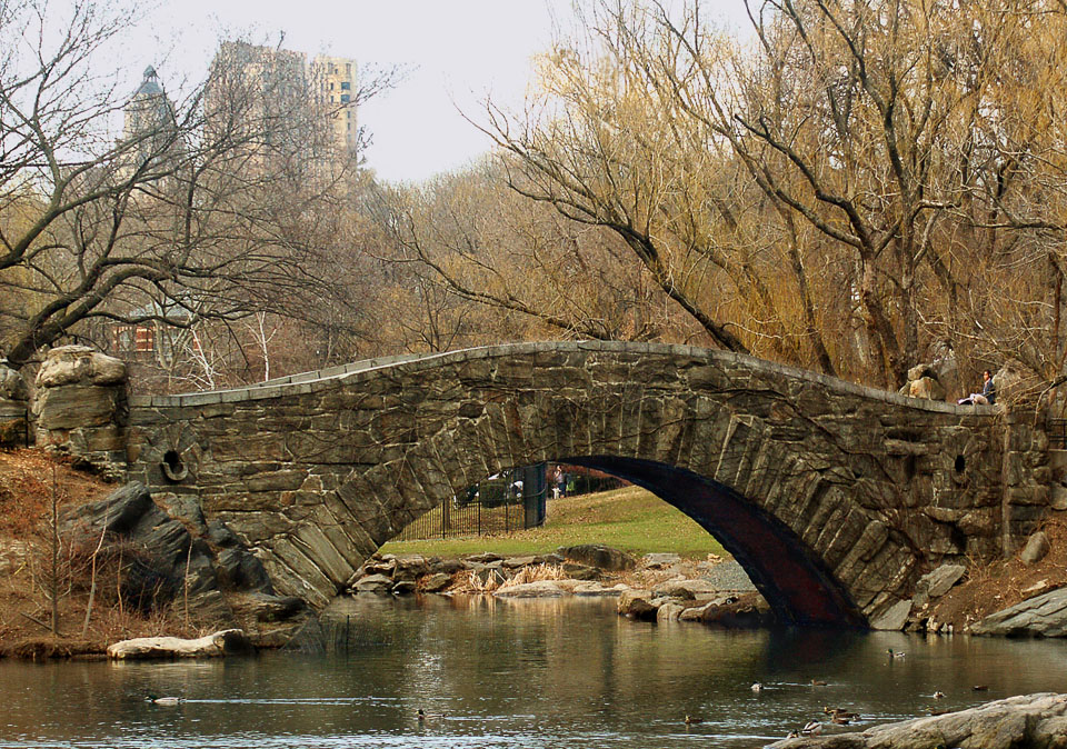 Central Park's lake and stone bridge offer a peaceful refuge in a hectic city.