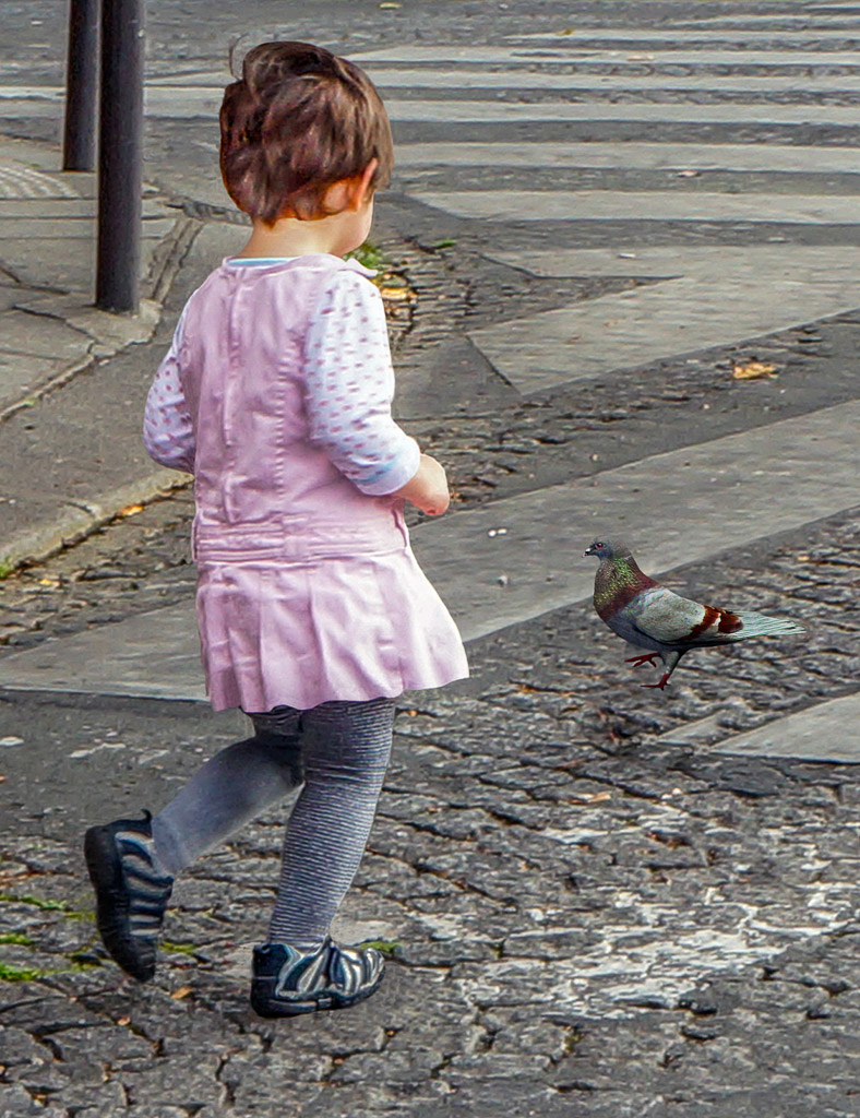 There are plenty of pidgeons for little girls to chase in Paris.