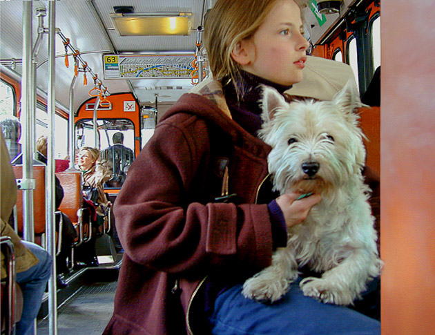 You will see many dogs riding the buses, trains and Metro in Paris.