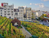 A working vineyard and winery on a Montmartre hillside.